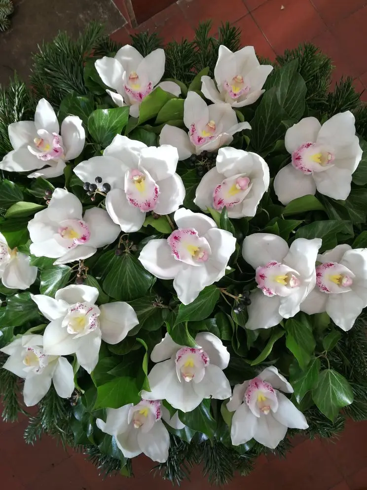 Fekvő koszorú fehér orchideával – 60–80 cm, több színben. Különleges, prémium temetési virágkompozíció. Rendelje meg online. Nefelejcs Virágüzlet.